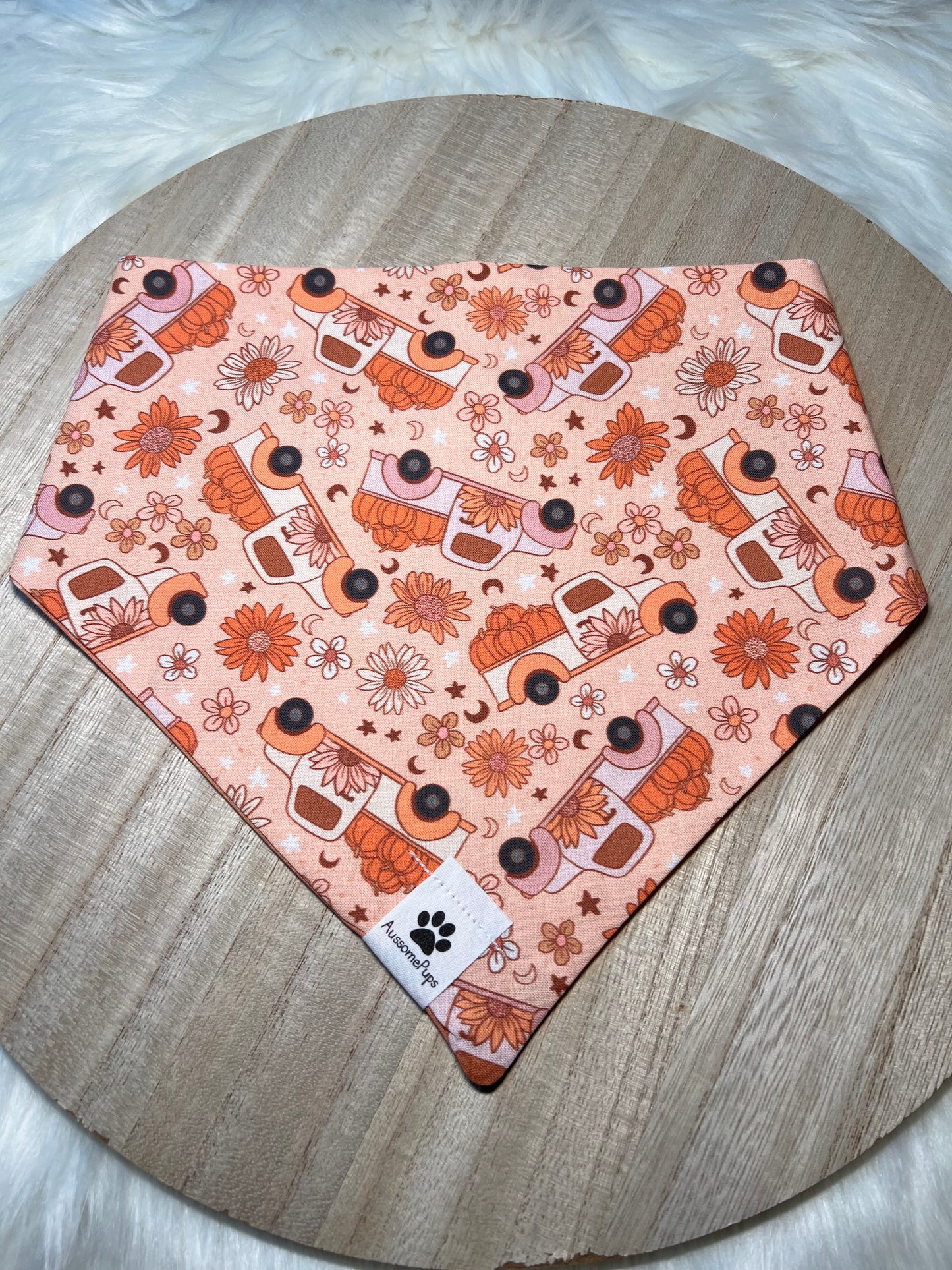 Take Me To The Patch Bandana