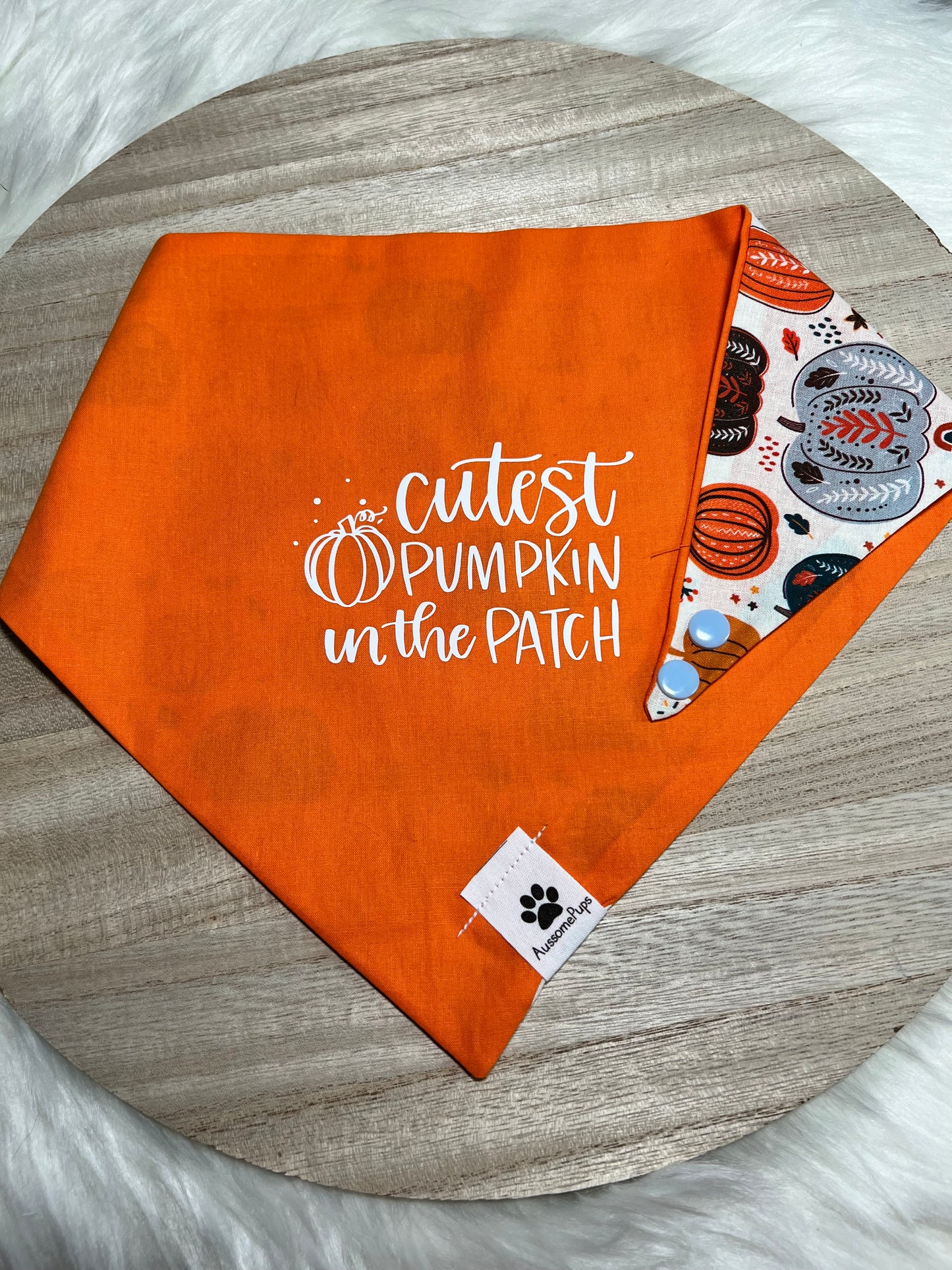 Cutest Pumpkin Bandana
