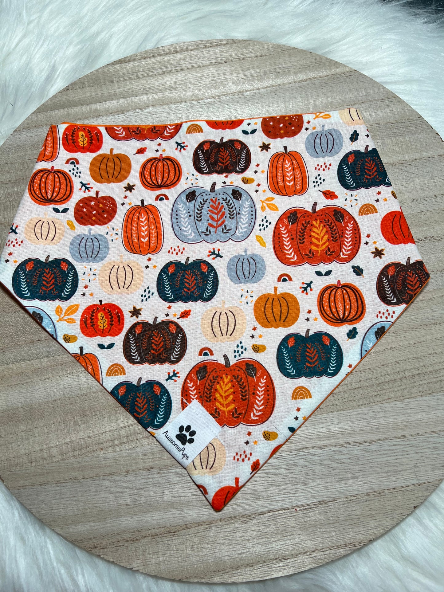 Cutest Pumpkin Bandana