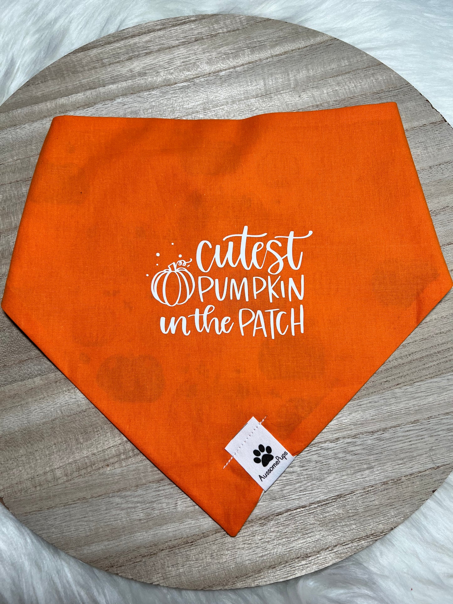 Cutest Pumpkin Bandana