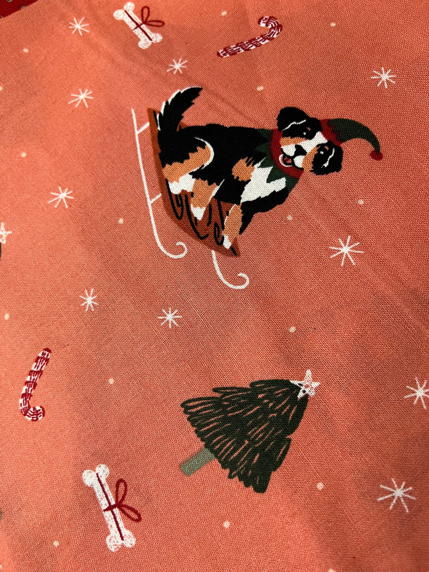 Winter Bandana - AussomePups