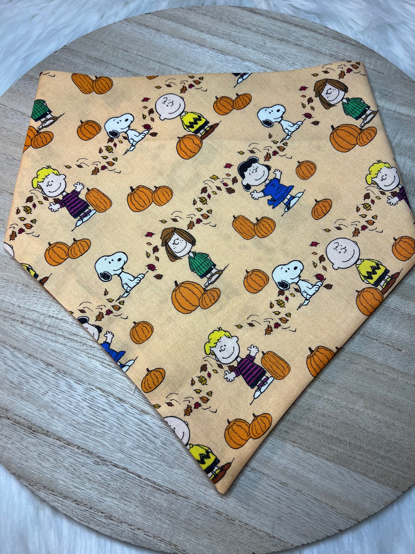 Peanuts Fall