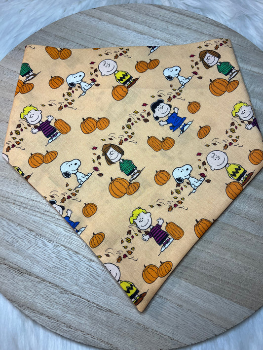 Peanuts Fall