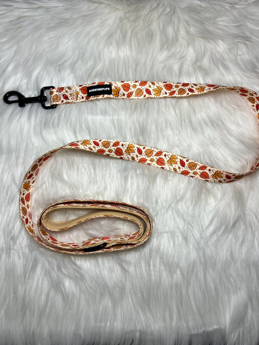 Falling into fall leash